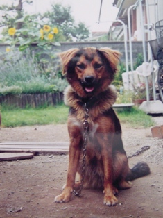 e0015964_22473420.jpg