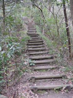e0015964_2314410.jpg