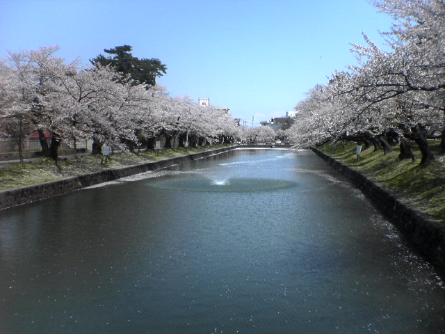 c0051004_1812199.jpg