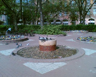 f0021504_552697.jpg