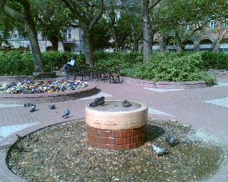 f0021504_553399.jpg