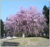 a0026413_21321521.jpg