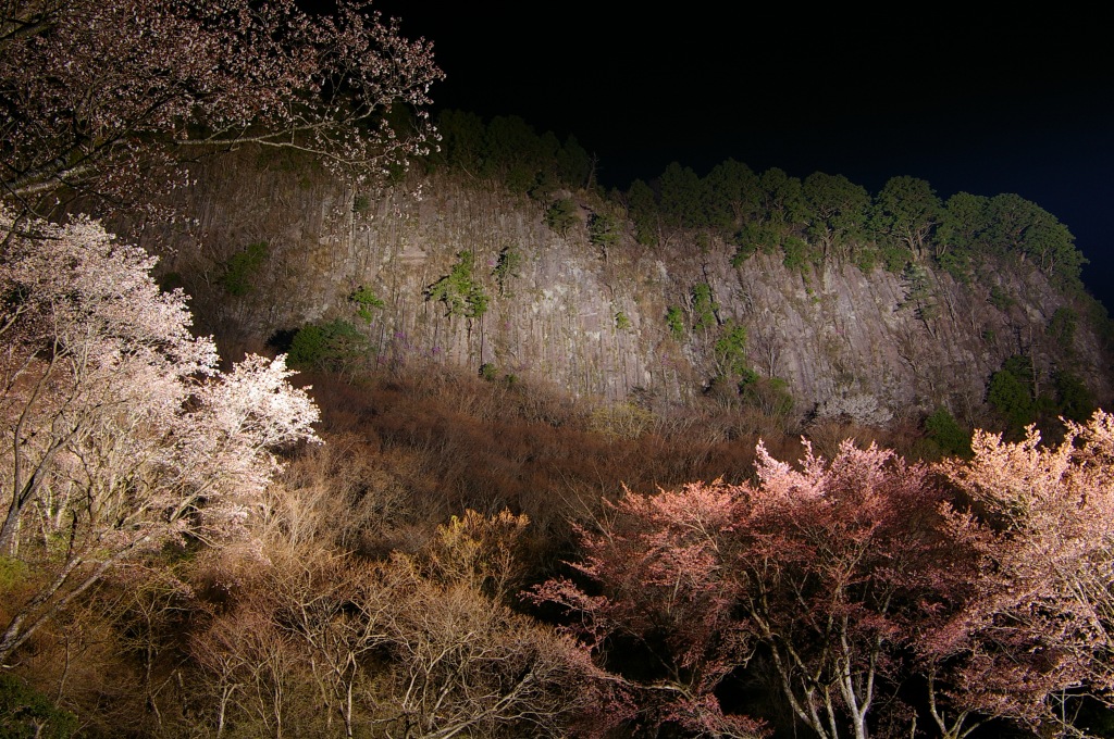 b0062024_532962.jpg