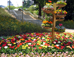 b0056325_1842286.jpg