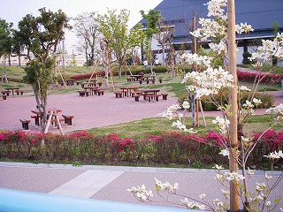 b0006329_2212664.jpg