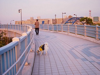 b0006329_22142039.jpg