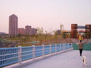 b0006329_22151611.jpg