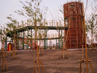 b0006329_22171393.jpg