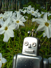 e0005548_047787.jpg