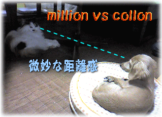 c0025852_2342163.gif