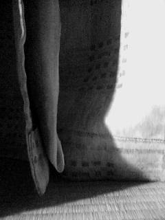 e0063653_1118304.jpg