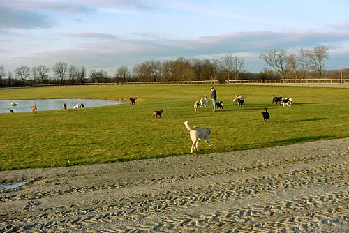 e0015154_21512660.jpg
