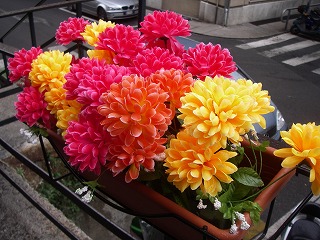 e0066062_16104731.jpg