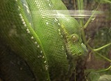 e0066062_16131752.jpg