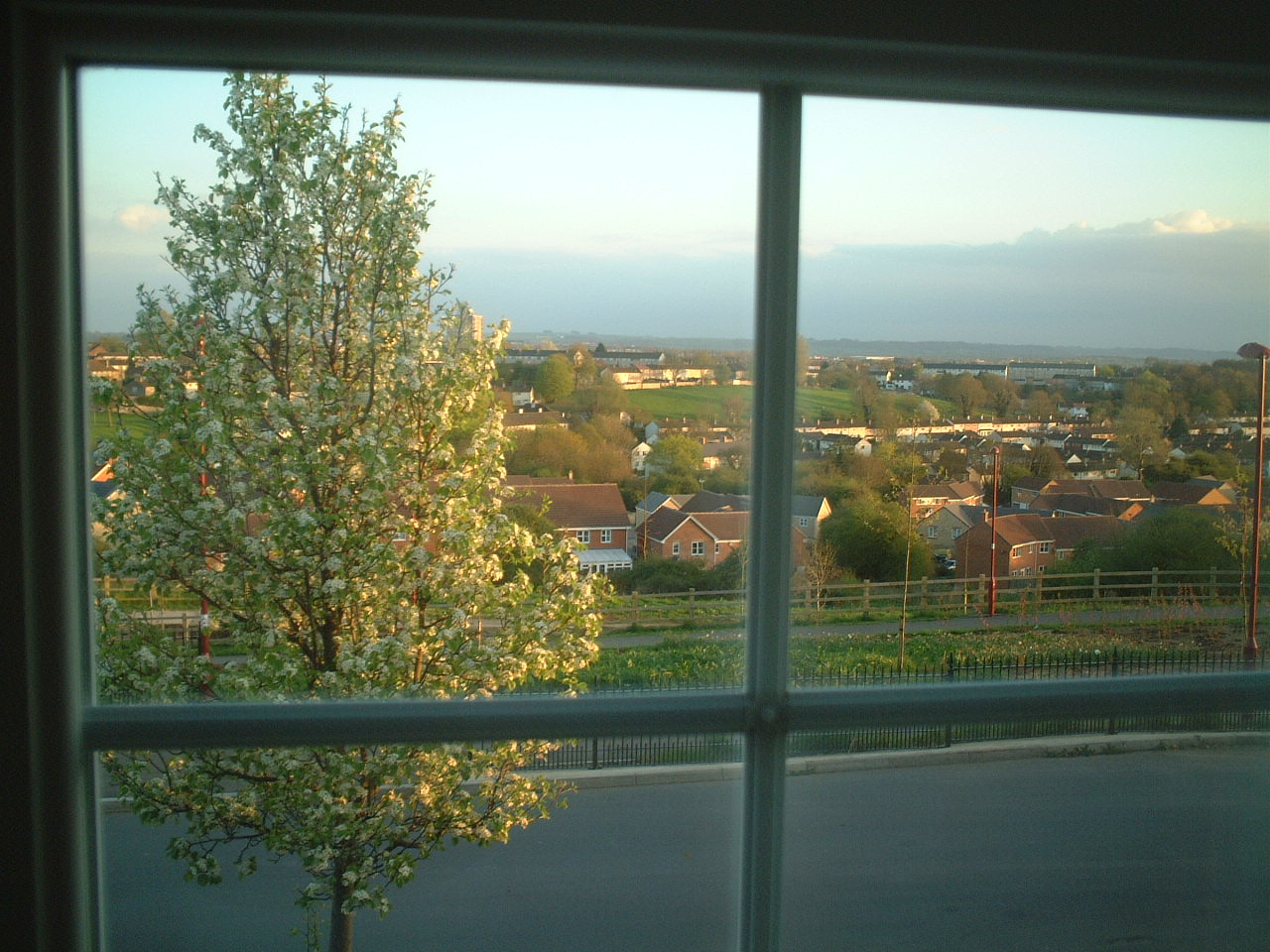 e0078564_17213819.jpg