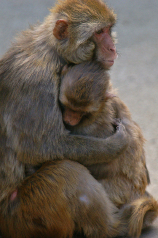 e0002371_2021460.jpg