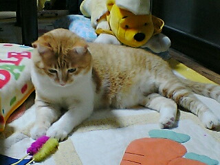 f0095271_21183294.jpg