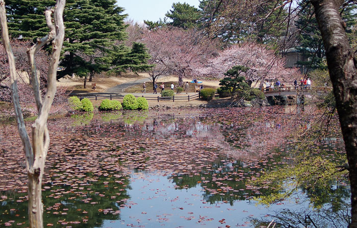 c0009981_11124655.jpg