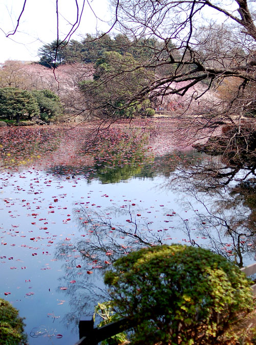 c0009981_11133019.jpg