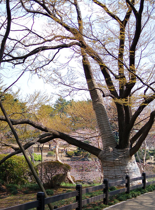 c0009981_1113546.jpg