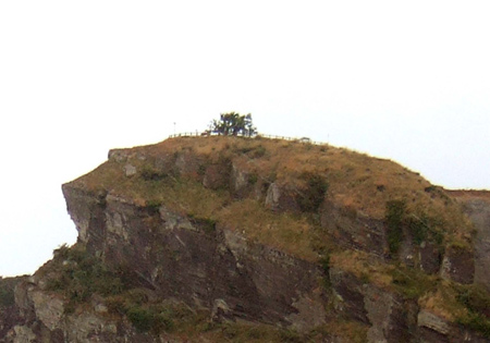 b0013198_151856.jpg