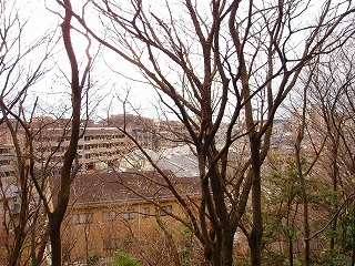 f0048105_16384548.jpg
