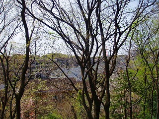 f0048105_16391831.jpg