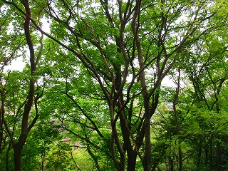 f0048105_16393115.jpg