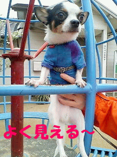 e0032508_1946392.gif