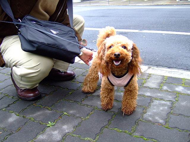 f0014815_2244982.jpg