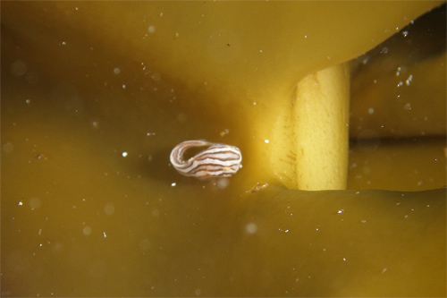 c0024719_8292391.jpg