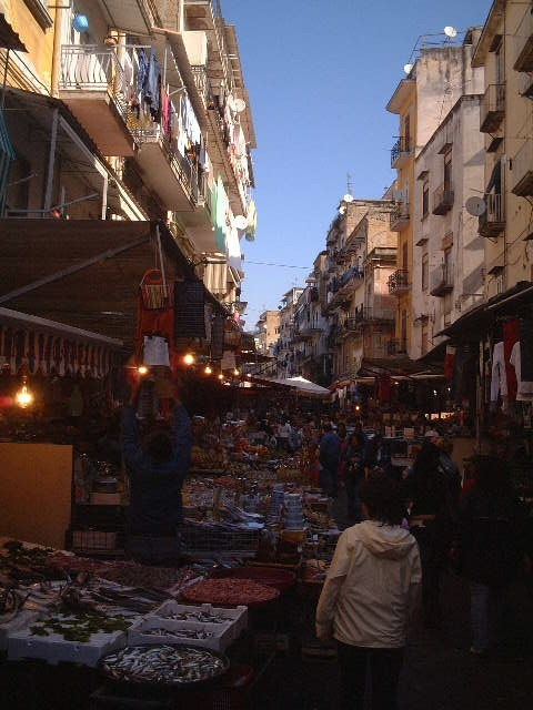 d0041022_058268.jpg