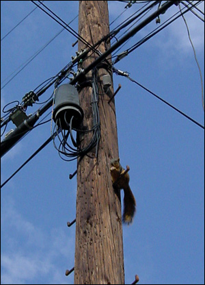 b0088124_7272411.jpg