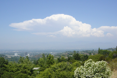 b0088124_9213599.jpg
