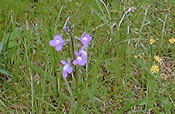 f0060424_19563320.jpg