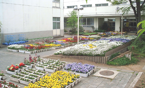 f0060424_2194845.jpg
