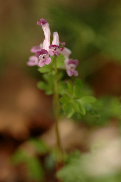 c0027027_22361237.jpg