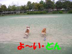 e0077528_172446100.jpg