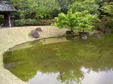 a0048531_20222797.jpg