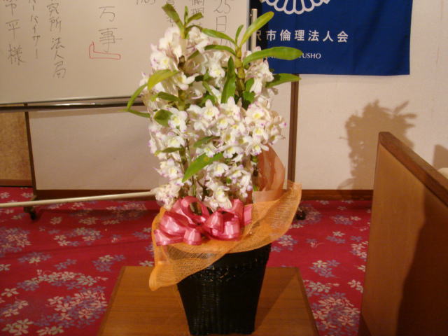 f0052933_2575080.jpg