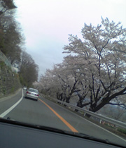 d0048140_493927.jpg