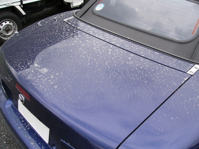 f0068341_1713484.jpg