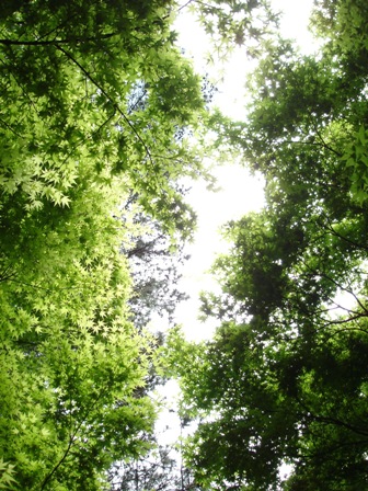 e0086642_0513587.jpg