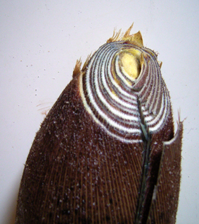 d0063149_22532353.jpg