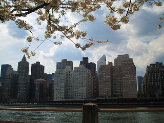a0040554_1355195.jpg