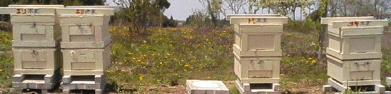 e0082956_1214408.jpg