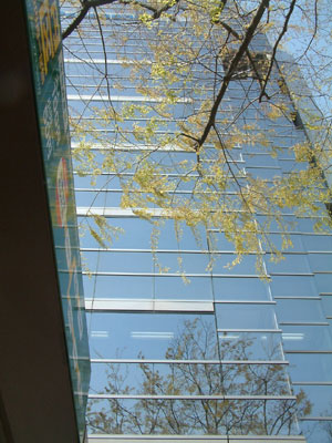 c0050264_012655.jpg