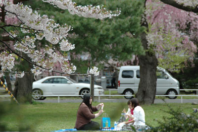 c0050264_038399.jpg