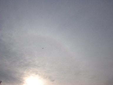 a0009666_15461866.jpg