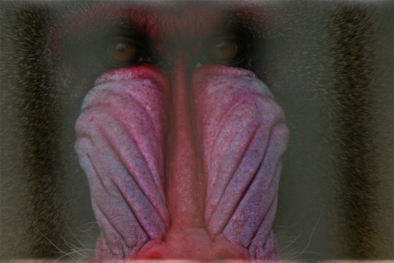 e0002371_22424578.jpg